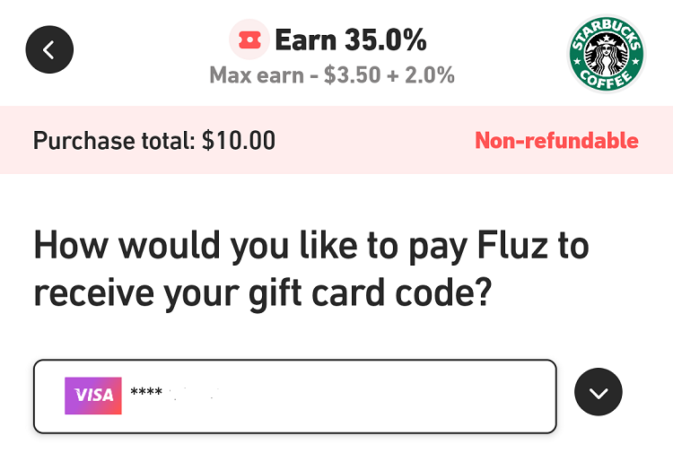 Fluz choosing payment method