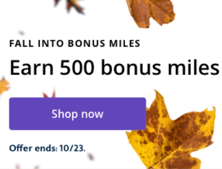 United Portal Bonus 10.16.20