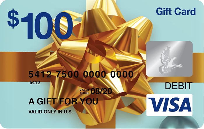 $100 Visa Gift Card