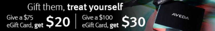 Aveda bonus card promotion Spend $75 Get $25 Spend $100 Get $30