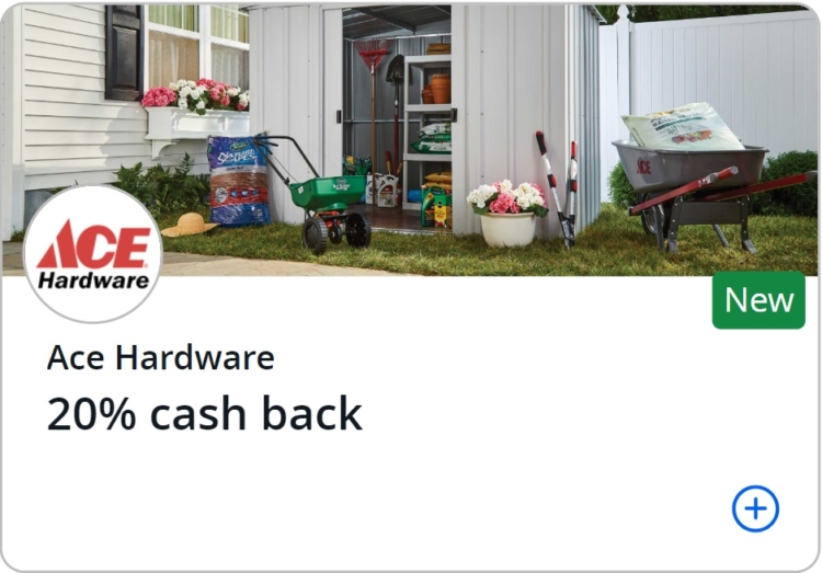 Ace Hardware Chase Offer 20% back