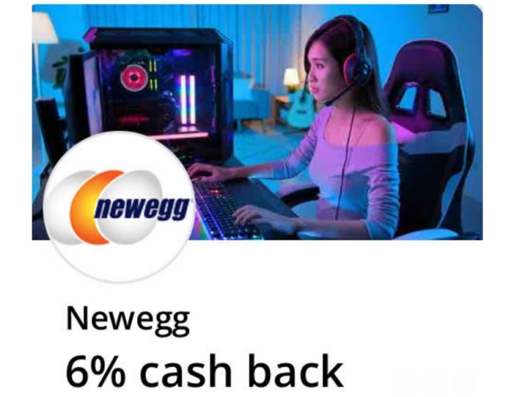 Newegg Chase Offer 6% back